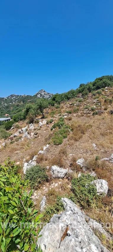 Feld Zu verkaufen in Selimiye Bz. Marmaris - Feld-Zonierung - 773 m²