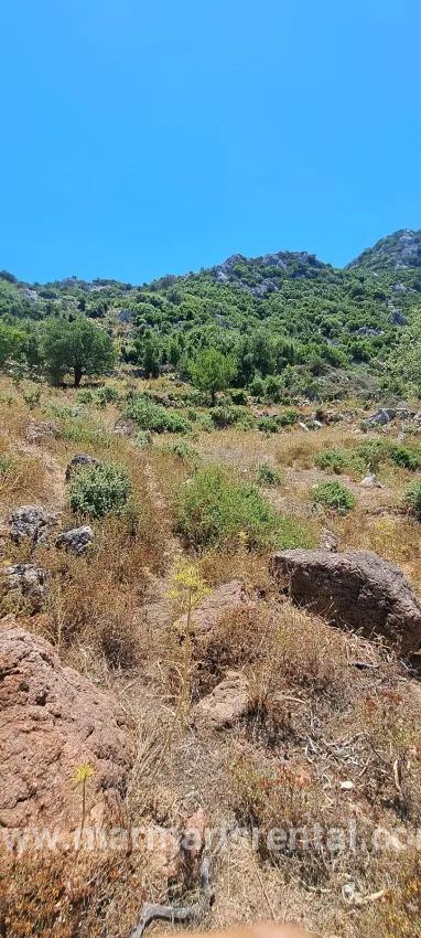 Marmaris Selimiye Dorf In einer für die Investition geeigneten 773 m2 großen verkaufsbaren Fläche Land