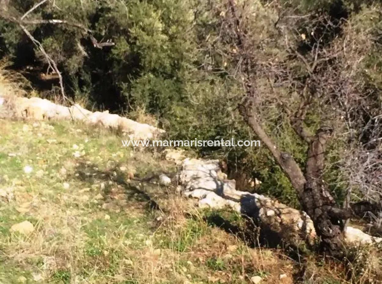 Grundstück Zu Verkaufen Mit Meerblick Mit 52000M2 Parzelle In Mugla Provinz Datca Bezirk Masoudye Nachbarschaft