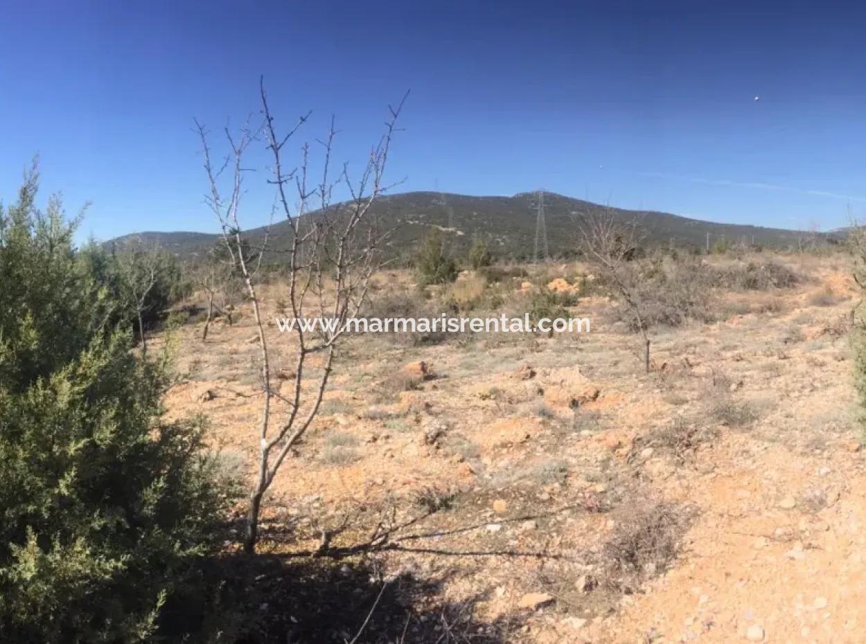 Der 200000M2 Mandelgarten Steht Im Zentrum Von Mugla Zum Verkauf.