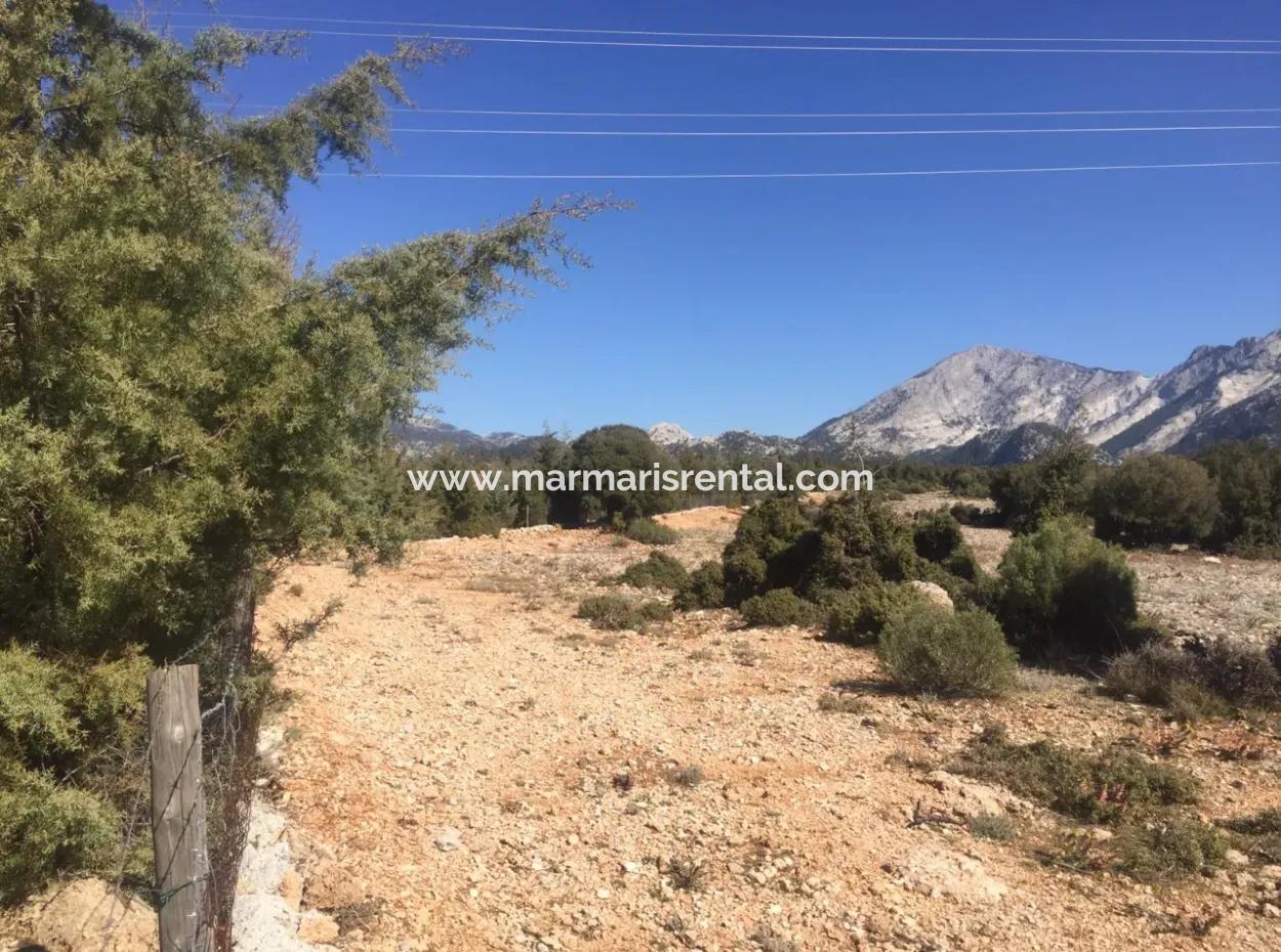 Der 200000M2 Mandelgarten Steht Im Zentrum Von Mugla Zum Verkauf.