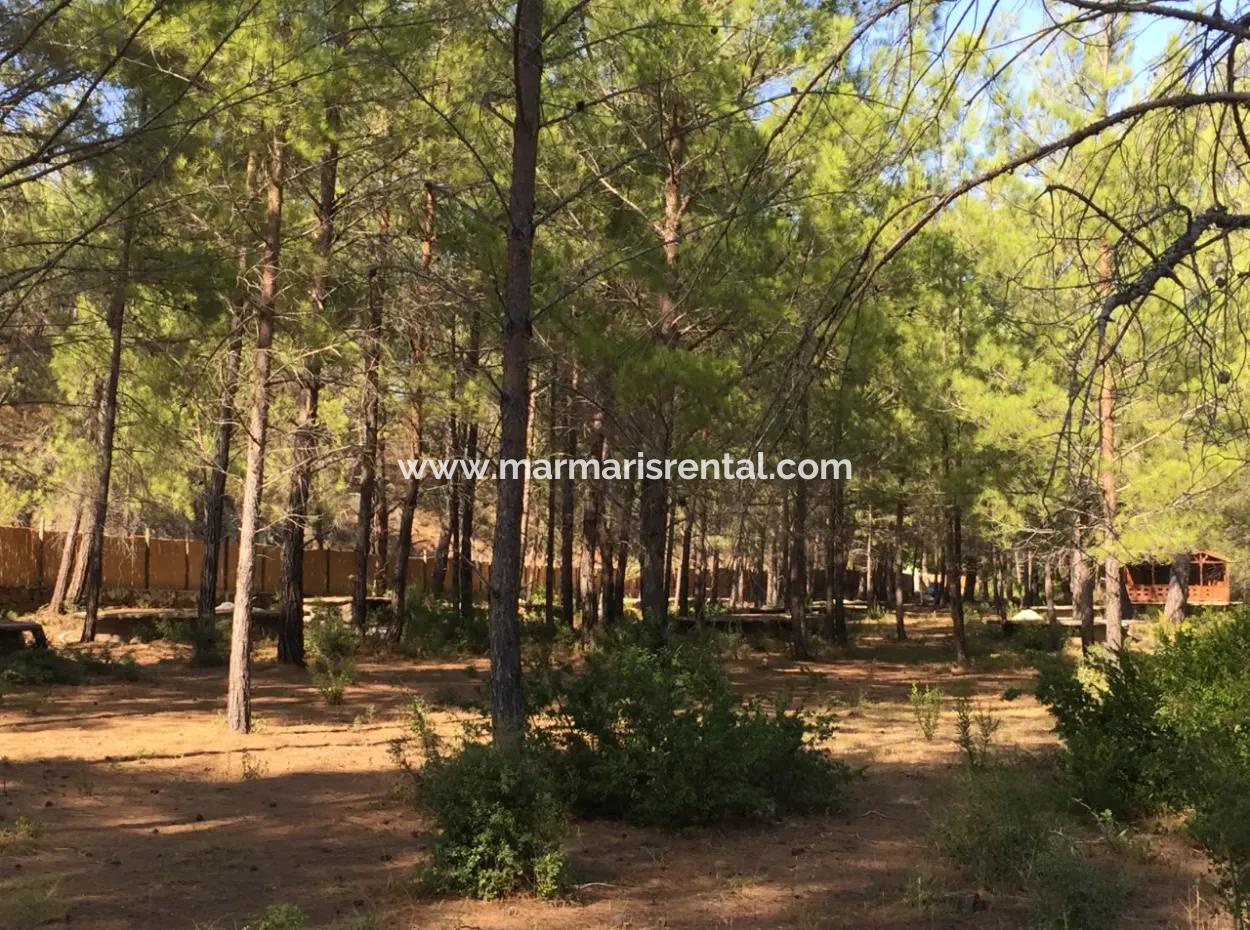 Grundstück Zum Verkauf Geeignet Für Bungalowhotel Auf 7500M2 Grundstück In Der Bucht Von Bördübet