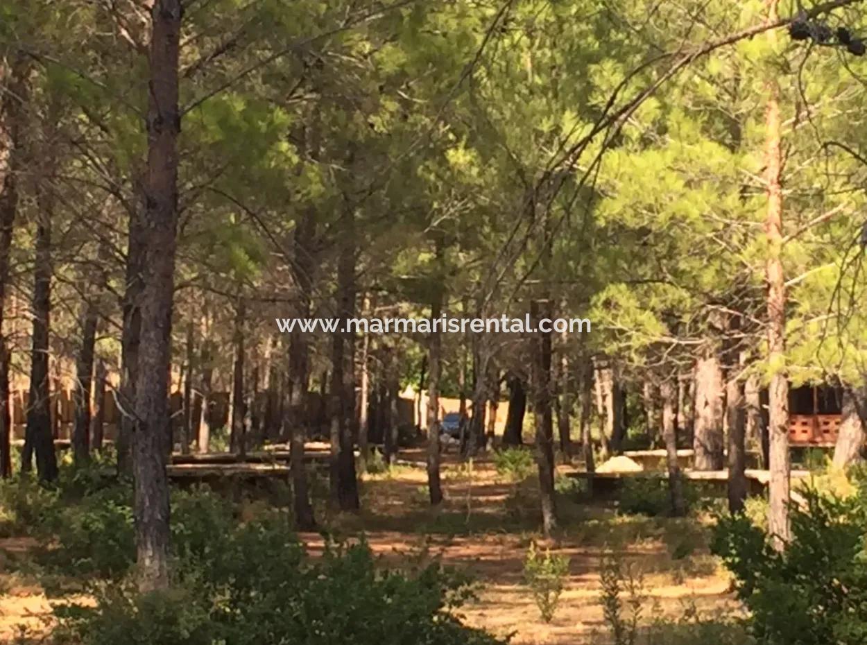 Grundstück Zum Verkauf Geeignet Für Bungalowhotel Auf 7500M2 Grundstück In Der Bucht Von Bördübet