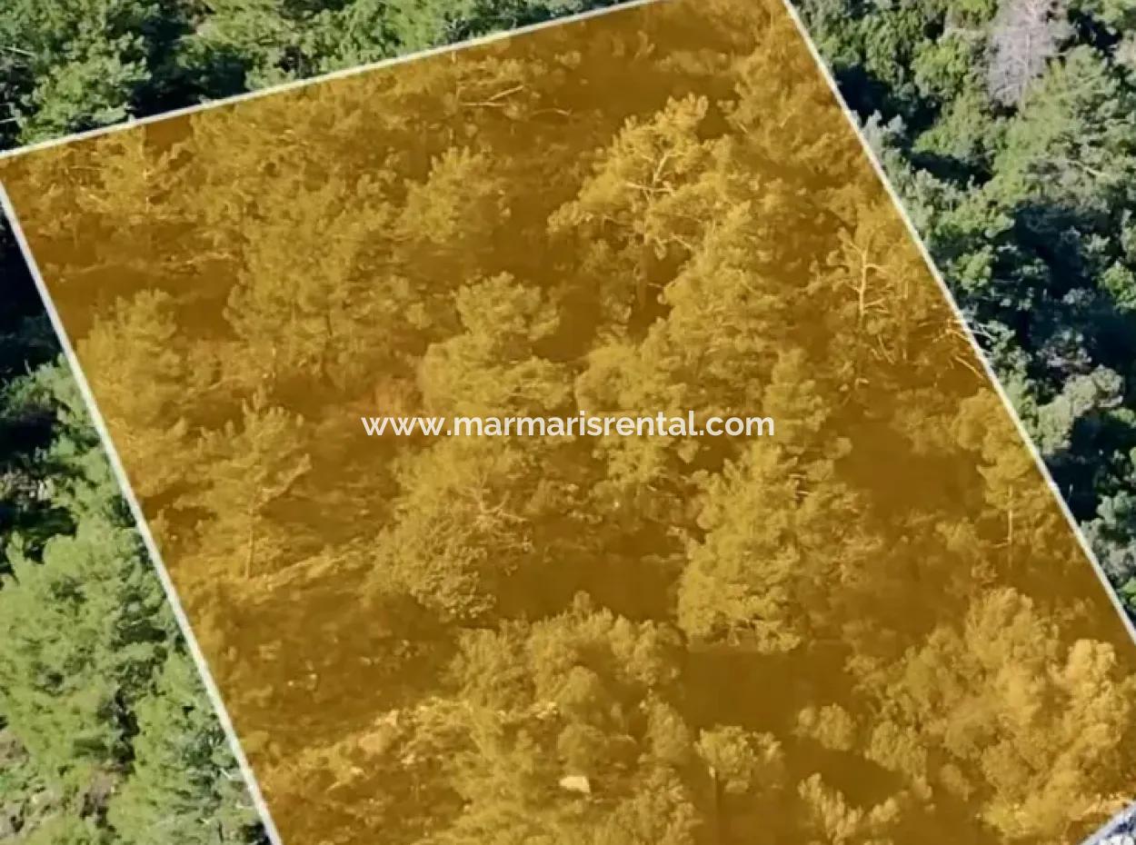 Marmaris Bezirk Turunc Nachbarschaft Meer 2354M2 Grundstück Zum Verkauf