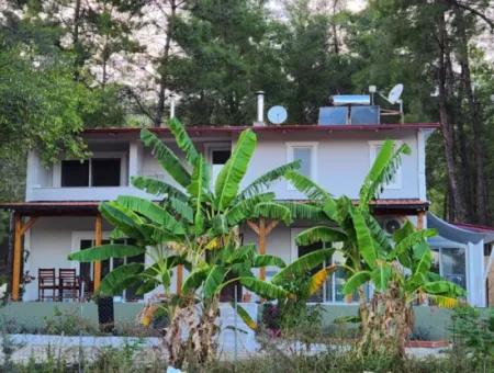 Ortaca-Stadtteil Zum Verkauf 10.000 M² Maßgefertigtes Bauernhaus Mit Pool