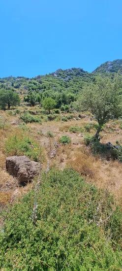 Marmaris Selimiye village has an Investment suitable 773 m2 for sale land