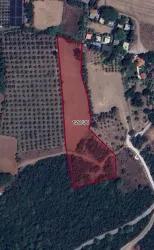 Field For sale in Çamlı Nbh. Marmaris - Field Zoned - 7.000 m²