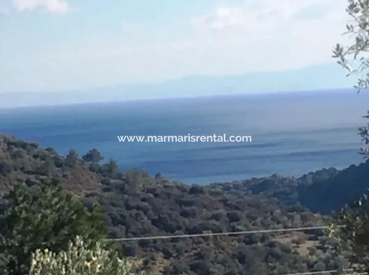 Land For Sale With Sea View With 52000M2 Parcel In Mugla Province Datca District Masoudye Neighborhood