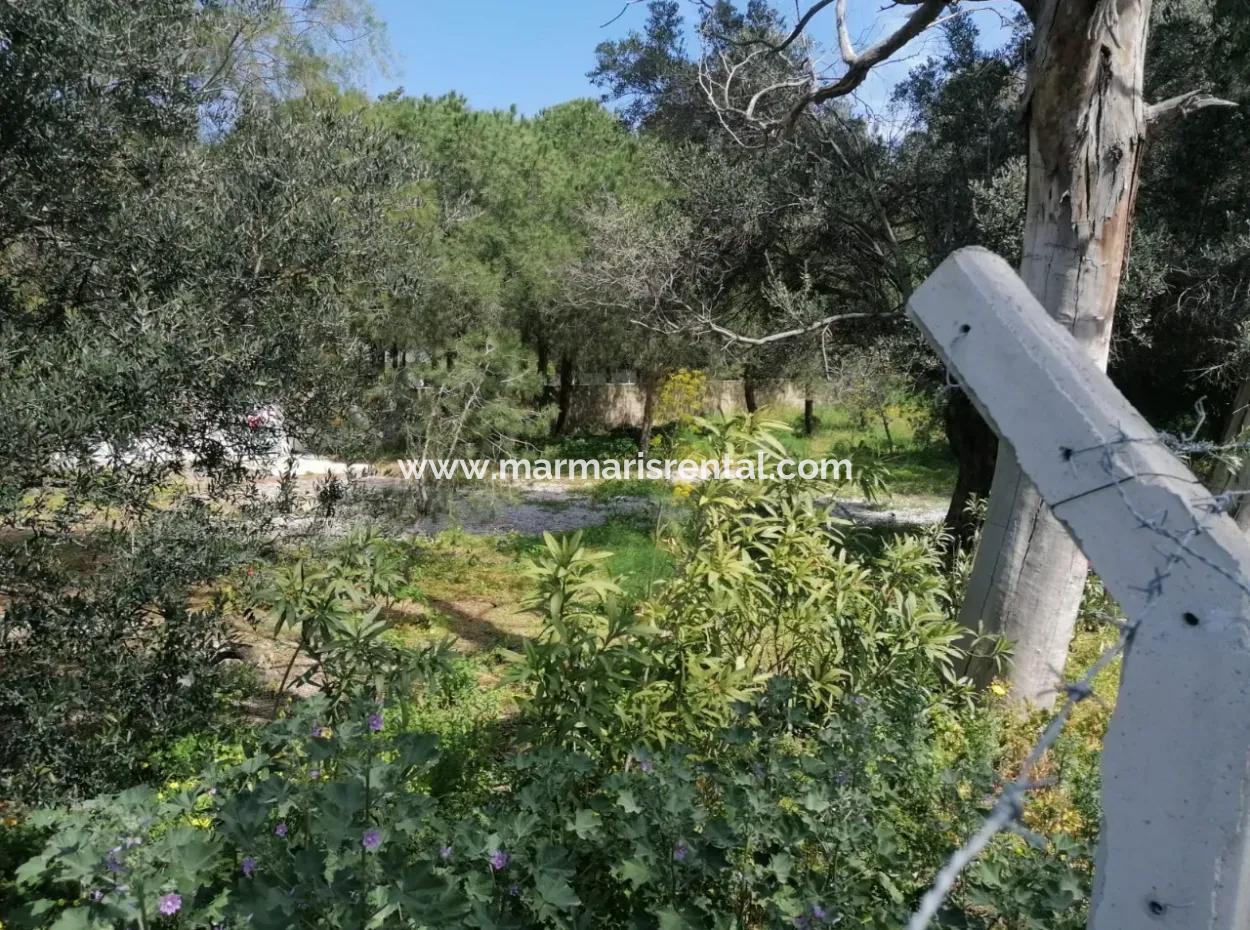 Land For Sale With 4000M2 Tourism Development By The Sea In Bodrum Akyarlar