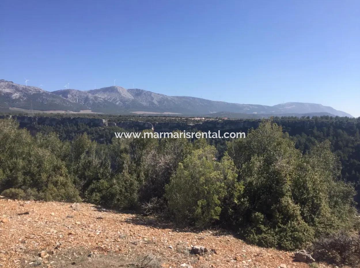 The 200000M2 Almond Garden Is For Sale In The Center Of Mugla.