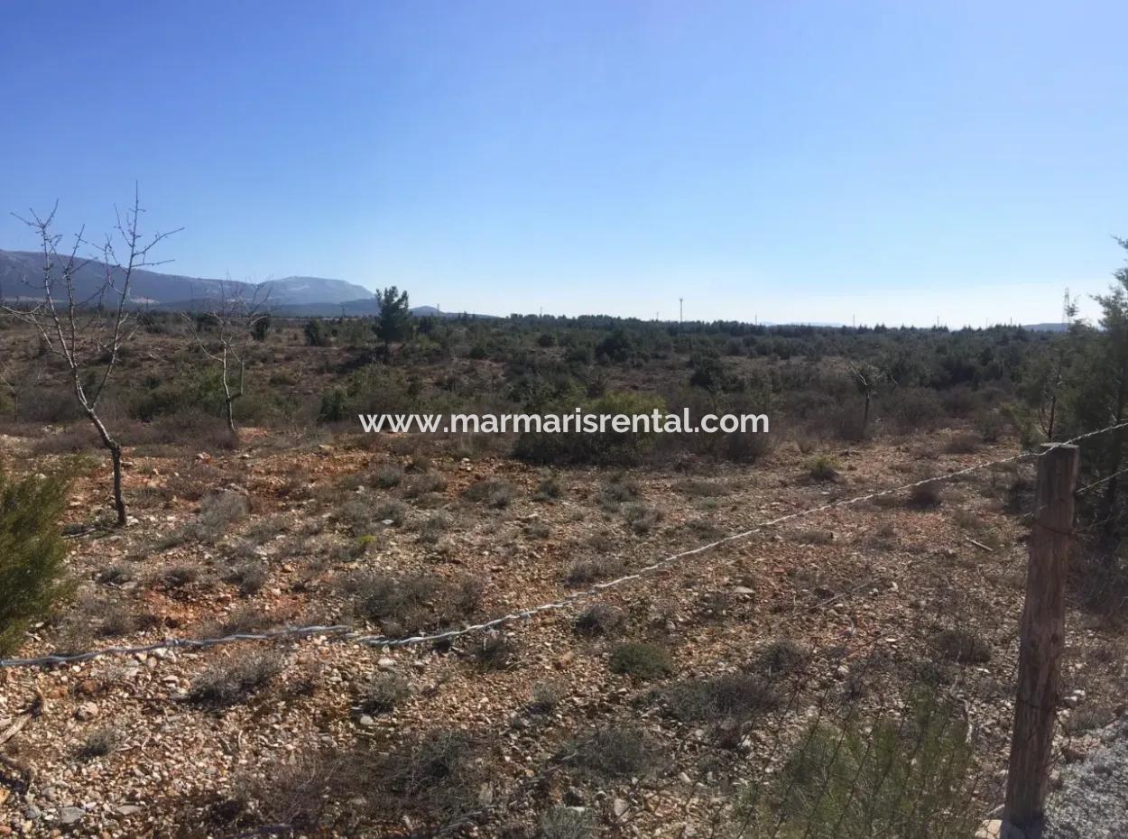 The 200000M2 Almond Garden Is For Sale In The Center Of Mugla.