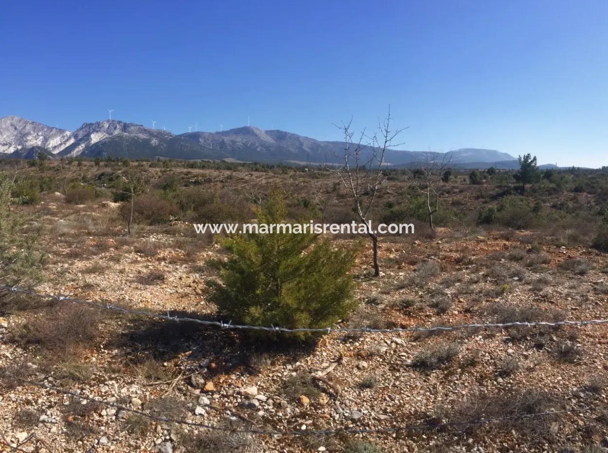 The 200000M2 Almond Garden Is For Sale In The Center Of Mugla.