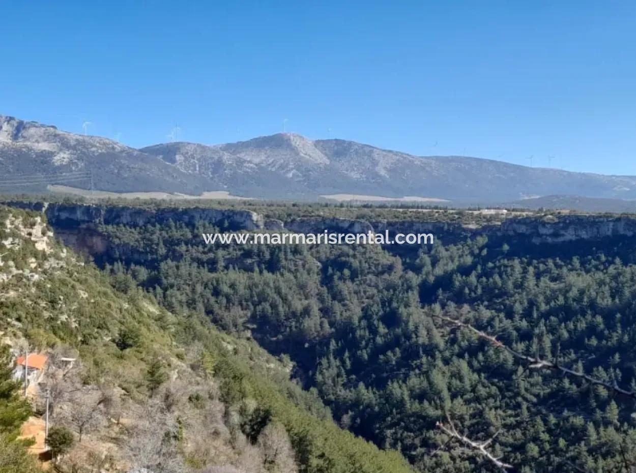 The 200000M2 Almond Garden Is For Sale In The Center Of Mugla.