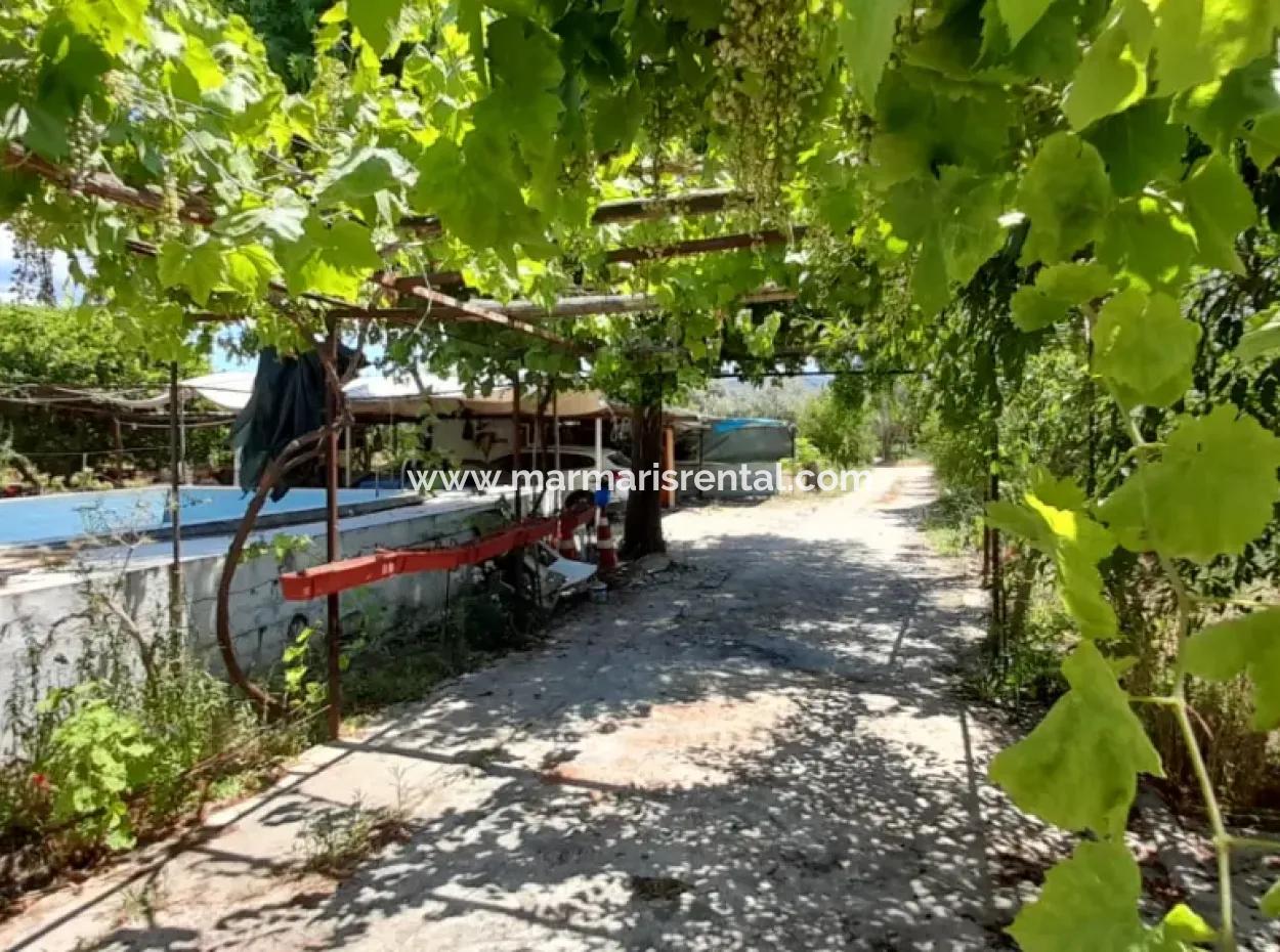 13000M2 Farmhouse Suitable To Be A Boutique Hotel 3 Km From Akyaka Center Gökkova Kitesurfe 1 Km Away