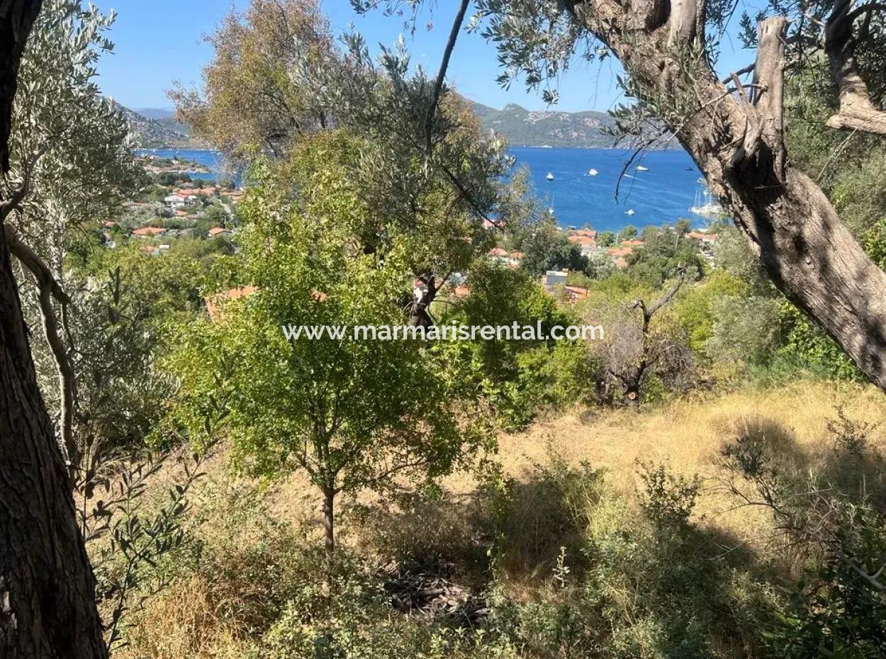 Land For Sale In Marmaris Selimiye Neighborhood With Sea View 5200M2 Suitable For The Construction Of 2 Villas Or Hotel Construction