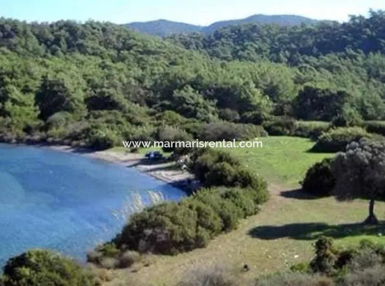 Land For Sale In Avlana Neighborhood Of Datca District Close To The Sea Of 5200M2 Suitable For Investment