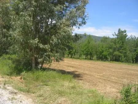 Urgent For Sale Plot In The Village Of 25.000 M2 Glazed Marmaris