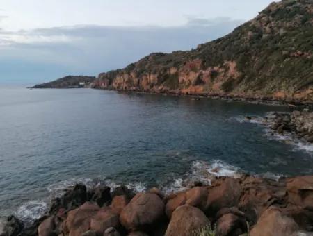 4600M2 Tourism Zoning Seafront Land For Sale In Bodrum Yalikavak District