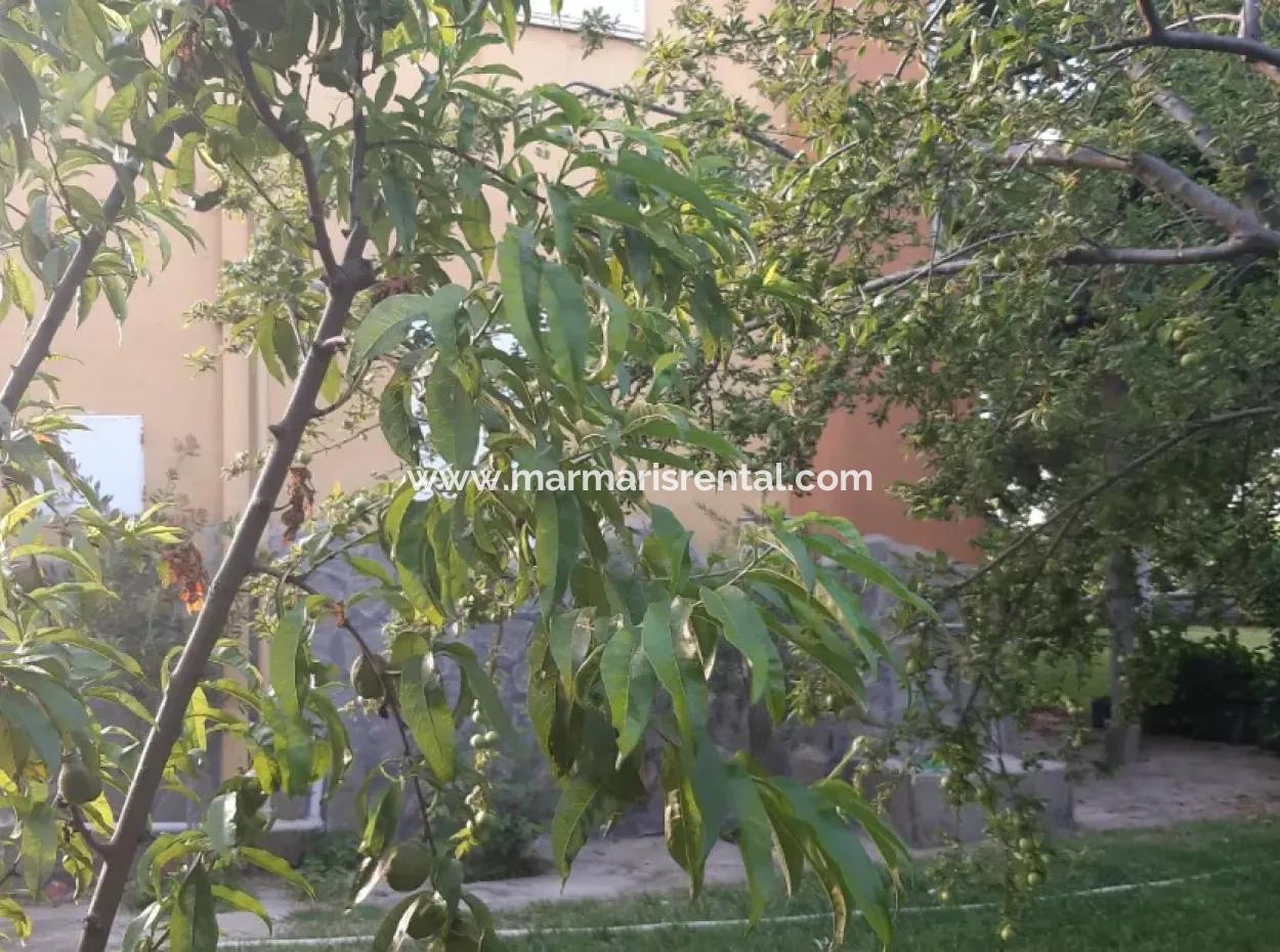 Manisa İli Alaşehir İlçesi 19000M2 Üzümbağı Çiftliği Acil Satılık